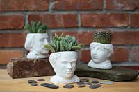 UPG Planter - Frida Kahlo
UPG Planter - Frida Kahlo - thumbnail