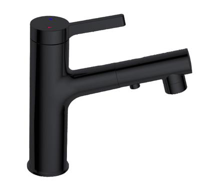 Wastafelmengkraan Best Design Asproli met Uittrekbare Sproeiuitloop Mat Zwart