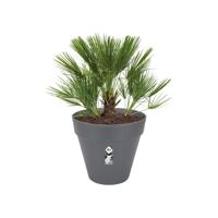 elho Loft Urban Round Bloempot 60 cm met Wielen - thumbnail