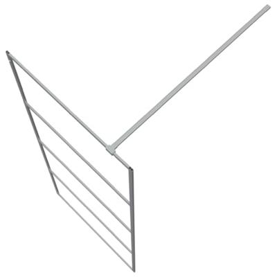 Inloopdouchewand 80x195 cm transparant ESG-glas zilverkleurig