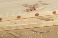 Wolfcraft Deuvelbevestigingen | Deuvelmarkeerpunten | Ø10mm | 4 stuks - 2913000 - thumbnail