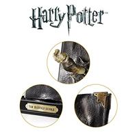 Harry Potter: Basilisk Fang and Tom Riddle Diary Decoratie - thumbnail