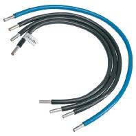 Hager Y871DS1 Toegangskabelboom Zwart, Blauw 4-polig 16 mm² 1 stuk(s) - thumbnail