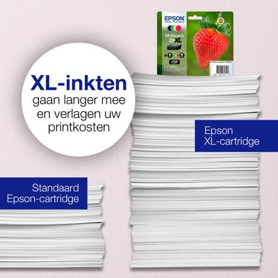 Epson Inktcartridge 29 Origineel Zwart C 13 T 29814012