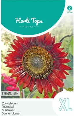 Zaden Helianthus Zonnebloem Evening Sun / Avondzon Hortitops - Hortitops