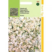 Zaden Gypsophila Gipskruid Elegans Roze Hortitops - Hortitops - thumbnail