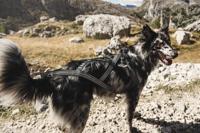 Hurtta X-sport Harness zwart 80 cm 932633 Hurtta Gebr. de Boon - Gebr de boon - thumbnail