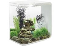 Oase 72034 biOrb FLOW 30 LED weiß Aquarium 30 l Met LED-verlichting - thumbnail