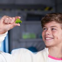 MrBeast Lab Swarms Series 2 12 Pack - thumbnail