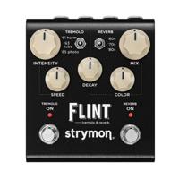 Strymon Flint V2 - thumbnail