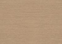 Emil & Hugo Naturalis 213880 - thumbnail