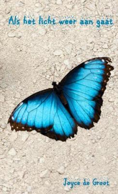 Joyce de Groot Als het licht weer aan gaat