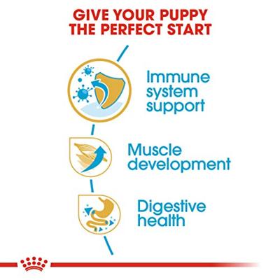 Royal Canin Boxer voer voor puppy 12kg - thumbnail