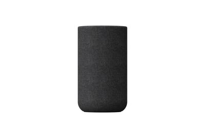 Sony SA-RS5 - satellietluidspreker achter, draadloos, met geïntegreerde accu, zwart