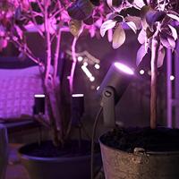 Philips Hue White & Color Ambiance Lily Spot 24V - incl. stroomadapter - thumbnail