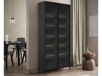 Vitrinekast TRAINING 2 deuren zwart eik met led