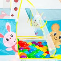 Ballenbad Moltó Auto dieren - thumbnail