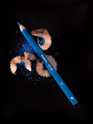 Bruynzeel kleurpotloden schildpad in blik - 45 stuks