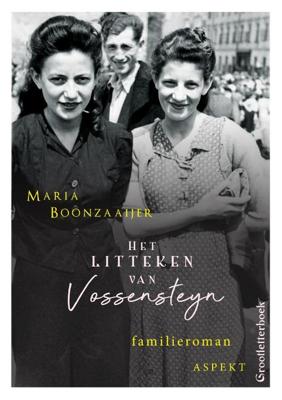 Het litteken van Vossensteyn GLB (Paperback)