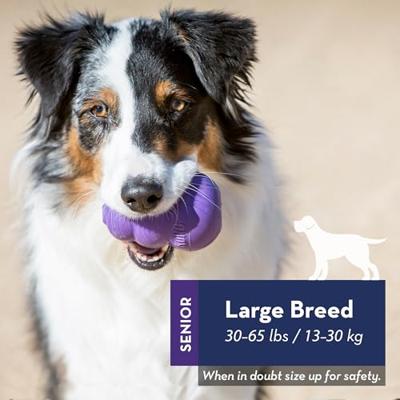 KONG SENIOR PAARS LARGE 10,5X7X7 CM