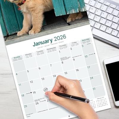 Golden Retriever Kalender 2026 Golden Retriever Kalender 2026