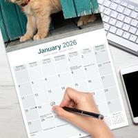 Golden Retriever Kalender 2026 - thumbnail