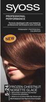 Syoss Syoss 5-24 Frozen Chestnut - thumbnail