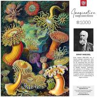 Verbeeldingspuzzel: Ernst Haeckel Zeeschepsels 1000 elementen - thumbnail