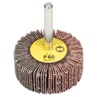 Bosch Accessoires Lamellenstift | Ø 50 X 20 mm | G60 - 2609256282