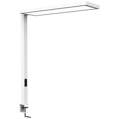 MAULsenja vloerlamp, LED, wit MAULsenja vloerlamp, LED, wit