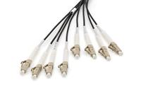 Digitus DK-24338U100BK-BBB Glasvezel Optische vezel Aansluitkabel 100 m Zwart [8x LC-/UPC-stekker - 8x LC-/UPC-stekker] 50/125 µ Multimode OM4 - thumbnail