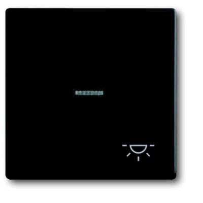 Busch-Jaeger 2CKA001751A3045 Wipschakelaar licht Afdekking Busch-axcent, Future lineair Diepzwart (RAL 9005), Zwart 1 stuk(s) Busch-Jaeger 2CKA001751A3045 Wipschakelaar licht Afdekking Busch-axcent, Future lineair Diepzwart (RAL 9005), Zwart 1 stuk(s)