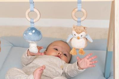 Little Dutch Forest Friends babygym