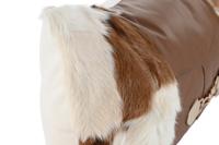 Kussen Home ESPRIT Bruin 50 x 10 x 30 cm - thumbnail