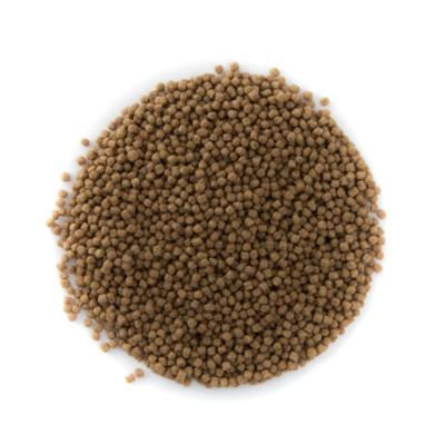 Coppens Wheat Germ Koi Voer 6mm - Hoogwaardige Verteerbaarheid - 15kg - Gezonde Groei & Vitaliteit