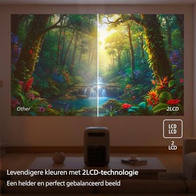 Philips NPX950/INT Beamer