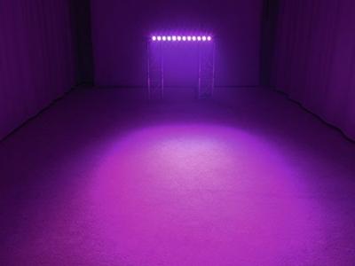 Eurolite BAR-12 DMX LED-lichteffect Aantal LEDs: 12