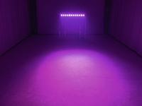 Eurolite BAR-12 DMX LED-lichteffect Aantal LEDs: 12 - thumbnail