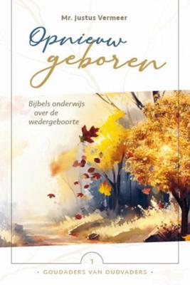 Opnieuw geboren - Mr. Justus Vermeer, Reinier van Klinken - ebook