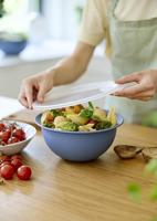 Rotho Schaal met Deksel 4.8L Horizon Blauw - thumbnail