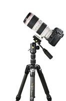 Vanguard VEO3T235CBP - thumbnail