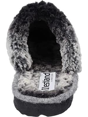 Westland LILLE 126 - alle Westland LILLE 126 - alle