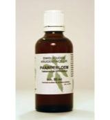 Cruydhof Taraxacum Officinale Rad/Paardebloemwortel Druppels