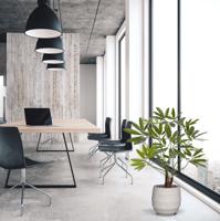 Philodendron Fun Bun kunstplant Deluxe 100cm - thumbnail