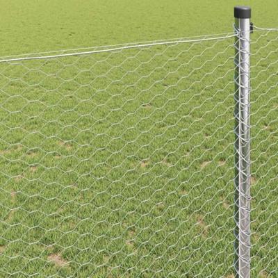 Zeskantig hekwerk Zilver 0,5 x 50 m Gegalvaniseerd staal