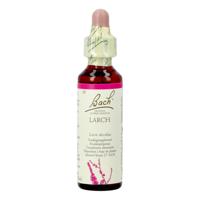 Bach Flower Remedies Lariks 19 - thumbnail