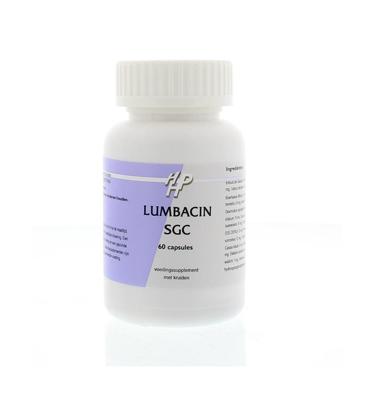 Holisan Holisan Lumbacin Sgc Ayurveda (60ca)
