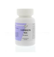 Holisan Holisan Lumbacin Sgc Ayurveda (60ca) - thumbnail