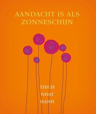 Aandacht is als zonneschijn - Thich Nhat Hanh - eBook (9789025902148)