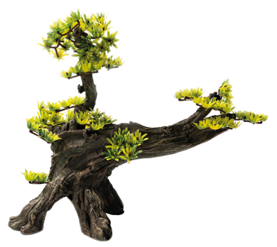 Deco bonsai l